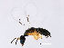  ( - GLA-DIA.1-HN-6)  @14 [ ] CreativeCommons - Attribution (2008) Unspecified Centre for Biodiversity Genomics