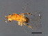  ( - GLA-DIA.M1-HN-6)  @13 [ ] CreativeCommons - Attribution (2008) Unspecified Centre for Biodiversity Genomics