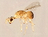  (Acophila sp. 1-SUP - SUP-M.11-HN-2)  @14 [ ] CreativeCommons - Attribution (2008) Unspecified Centre for Biodiversity Genomics