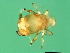  ( - VIR-M.1-HN-1)  @13 [ ] CreativeCommons - Attribution (2008) Unspecified Centre for Biodiversity Genomics