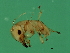  ( - VIR-M.1-HN-2)  @13 [ ] CreativeCommons - Attribution (2008) Unspecified Centre for Biodiversity Genomics