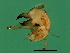  ( - VIR-M.1-HN-7)  @13 [ ] CreativeCommons - Attribution (2008) Unspecified Centre for Biodiversity Genomics