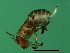  ( - VIR-M.2-HN-2)  @13 [ ] CreativeCommons - Attribution (2008) Unspecified Centre for Biodiversity Genomics