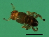  ( - VIR-M.2-HN-3)  @13 [ ] CreativeCommons - Attribution (2008) Unspecified Centre for Biodiversity Genomics