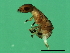  ( - VIR-M.2-HN-7)  @13 [ ] CreativeCommons - Attribution (2008) Unspecified Centre for Biodiversity Genomics