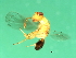  ( - VIR-M.10-HN-1)  @12 [ ] CreativeCommons - Attribution (2008) Unspecified Centre for Biodiversity Genomics