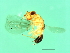  ( - VIR-M.10-HN-2)  @13 [ ] CreativeCommons - Attribution (2008) Unspecified Centre for Biodiversity Genomics