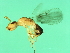  ( - VIR-M.10-HN-5)  @12 [ ] CreativeCommons - Attribution (2008) Unspecified Centre for Biodiversity Genomics