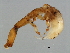  ( - HIS-APO.M1-HN-1)  @13 [ ] CreativeCommons - Attribution (2008) Unspecified Centre for Biodiversity Genomics
