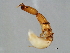  ( - FIS-M.1-HN-1)  @13 [ ] CreativeCommons - Attribution (2008) Unspecified Centre for Biodiversity Genomics