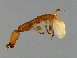  ( - FIS-M.1-HN-2)  @13 [ ] CreativeCommons - Attribution (2008) Unspecified Centre for Biodiversity Genomics