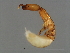  ( - FIS-M.1-HN-3)  @13 [ ] CreativeCommons - Attribution (2008) Unspecified Centre for Biodiversity Genomics