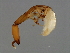  ( - FIS-M.1-HN-6)  @13 [ ] CreativeCommons - Attribution (2008) Unspecified Centre for Biodiversity Genomics