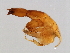  ( - VAR-M.0-HN-6)  @13 [ ] CreativeCommons - Attribution (2008) Unspecified Centre for Biodiversity Genomics