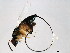  ( - VAR-APO.1-HN-2)  @14 [ ] CreativeCommons - Attribution (2008) Unspecified Centre for Biodiversity Genomics