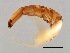  ( - VAR-M.1-HN-6)  @12 [ ] CreativeCommons - Attribution (2008) Unspecified Centre for Biodiversity Genomics