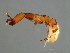  ( - VAR-M.2-HN-1)  @13 [ ] CreativeCommons - Attribution (2008) Unspecified Centre for Biodiversity Genomics
