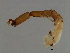  ( - VAR-M.2-HN-3)  @13 [ ] CreativeCommons - Attribution (2008) Unspecified Centre for Biodiversity Genomics