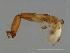  ( - VAR-M.2-HN-5)  @13 [ ] CreativeCommons - Attribution (2008) Unspecified Centre for Biodiversity Genomics