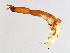  ( - VAR-M.2-HN-8)  @13 [ ] CreativeCommons - Attribution (2008) Unspecified Centre for Biodiversity Genomics