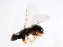  ( - PUM-WIE.PUM-HN-4)  @11 [ ] CreativeCommons - Attribution (2008) Unspecified Centre for Biodiversity Genomics