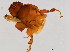  ( - PUM-M.0-HN-2)  @11 [ ] CreativeCommons - Attribution (2008) Unspecified Centre for Biodiversity Genomics