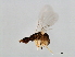  ( - SAG-WIE.FLA-HN-8)  @13 [ ] CreativeCommons - Attribution (2008) Unspecified Centre for Biodiversity Genomics