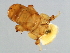  ( - SAG-M.0-HN-3)  @12 [ ] CreativeCommons - Attribution (2008) Unspecified Centre for Biodiversity Genomics