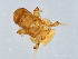  ( - SAG-M.0-HN-5)  @12 [ ] CreativeCommons - Attribution (2008) Unspecified Centre for Biodiversity Genomics