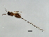  ( - SEM-APP.1-YN-1)  @12 [ ] CreativeCommons - Attribution (2008) Unspecified Centre for Biodiversity Genomics