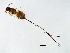  ( - SEM-APP.1-YN-3)  @12 [ ] CreativeCommons - Attribution (2008) Unspecified Centre for Biodiversity Genomics