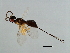  ( - SEM-APP.1-YN-4)  @12 [ ] CreativeCommons - Attribution (2008) Unspecified Centre for Biodiversity Genomics