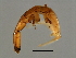  ( - SEM-M.2-YN-3)  @11 [ ] CreativeCommons - Attribution (2008) Unspecified Centre for Biodiversity Genomics