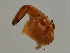  ( - SEM-M.2-YN-4)  @11 [ ] CreativeCommons - Attribution (2008) Unspecified Centre for Biodiversity Genomics