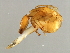  ( - XXX-M.0-YN-6)  @11 [ ] CreativeCommons - Attribution (2008) Unspecified Centre for Biodiversity Genomics