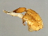  ( - XXX-M.0-YN-7)  @11 [ ] CreativeCommons - Attribution (2008) Unspecified Centre for Biodiversity Genomics