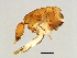  ( - XXX-M.0-YN-8)  @11 [ ] CreativeCommons - Attribution (2008) Unspecified Centre for Biodiversity Genomics