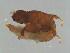  ( - AWK-M.0-FJ-3)  @11 [ ] CreativeCommons - Attribution (2008) Unspecified Centre for Biodiversity Genomics