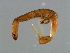  ( - RAC-M.2--YN-7)  @11 [ ] CreativeCommons - Attribution (2008) Unspecified Centre for Biodiversity Genomics