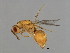  ( - CON-SPH.2-HN-2)  @14 [ ] CreativeCommons - Attribution (2008) Unspecified Centre for Biodiversity Genomics