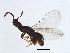  ( - ESQ-BLA.1-YN-2)  @12 [ ] CreativeCommons - Attribution (2008) Unspecified Centre for Biodiversity Genomics