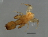  ( - OLI-M.0-YN-4)  @11 [ ] CreativeCommons - Attribution (2008) Unspecified Centre for Biodiversity Genomics