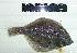  ( - IMB7к)  @11 [ ] Unspecified (default): All Rights Reserved  Unspecified Unspecified