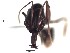  ( - BCET010)  @12 [ ] CreativeCommons - Attribution (2015) David Donoso UTPL