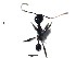  (Pheidole ACY2075 - BCYT027)  @12 [ ] CreativeCommons - Attribution (2015) David Donoso UTPL