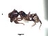  ( - BCYT210)  @11 [ ] CreativeCommons - Attribution (2015) David Donoso UTPL