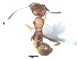  ( - BCYT273)  @12 [ ] CreativeCommons - Attribution (2015) David Donoso UTPL