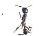  ( - BCYT286)  @12 [ ] CreativeCommons - Attribution (2015) David Donoso UTPL