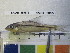  ( - RB11-D037)  @11 [ ] CreativeCommons - Attribution Non-Commercial Share-Alike (2012) SAIAB SAIAB