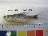  ( - RB11-D047)  @13 [ ] CreativeCommons - Attribution Non-Commercial Share-Alike (2012) SAIAB SAIAB